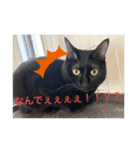 長女 にぼし（個別スタンプ：3）