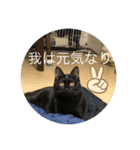 長女 にぼし（個別スタンプ：8）