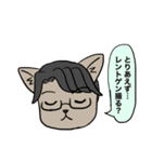 野良猫腸戦日記（個別スタンプ：25）