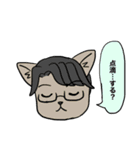 野良猫腸戦日記（個別スタンプ：26）