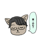 野良猫腸戦日記（個別スタンプ：27）