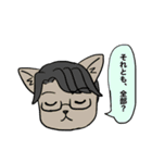 野良猫腸戦日記（個別スタンプ：28）