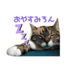 ろんじスタンプ2020（個別スタンプ：3）
