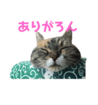 ろんじスタンプ2020（個別スタンプ：4）