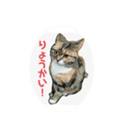 ろんじスタンプ2020（個別スタンプ：5）