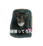 ろんじスタンプ2020（個別スタンプ：6）
