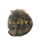 ろんじスタンプ2020（個別スタンプ：15）
