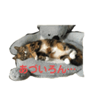 ろんじスタンプ2020（個別スタンプ：16）