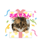 ろんじスタンプ2020（個別スタンプ：22）