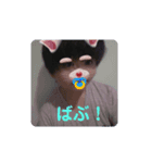 けんか4（個別スタンプ：6）