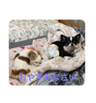 ラブノア（個別スタンプ：5）