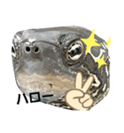 onionの日課（個別スタンプ：3）