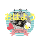 onionの日課（個別スタンプ：9）