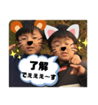 甥っこのスタンプ（個別スタンプ：4）