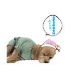 ゆいぴ〜LINEスタンプ（個別スタンプ：2）