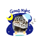 チョロさん②（個別スタンプ：1）