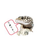 チョロさん②（個別スタンプ：4）