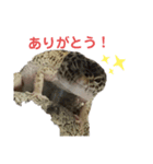 チョロさん②（個別スタンプ：5）