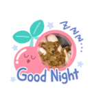 モコさんスタンプ♥️（個別スタンプ：1）