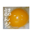 EGGな毎日2流行は追わないよ( ´∀`)（個別スタンプ：7）