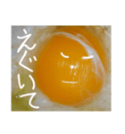 EGGな毎日2流行は追わないよ( ´∀`)（個別スタンプ：8）