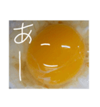 EGGな毎日2流行は追わないよ( ´∀`)（個別スタンプ：31）