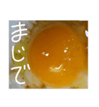 EGGな毎日2流行は追わないよ( ´∀`)（個別スタンプ：39）