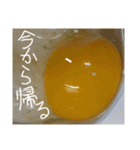 EGGな毎日2流行は追わないよ( ´∀`)（個別スタンプ：40）