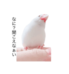 ぶんたがぶっちぎり優勝2（個別スタンプ：1）