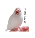ぶんたがぶっちぎり優勝2（個別スタンプ：2）