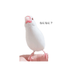 ぶんたがぶっちぎり優勝2（個別スタンプ：3）