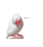 ぶんたがぶっちぎり優勝2（個別スタンプ：4）