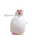ぶんたがぶっちぎり優勝2（個別スタンプ：7）