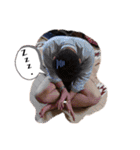 7月生まれとしじちゃんパロディスタンプ1（個別スタンプ：5）
