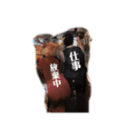7月生まれとしじちゃんパロディスタンプ1（個別スタンプ：13）