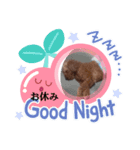 ロイ1（個別スタンプ：4）
