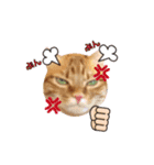 kurumoa（個別スタンプ：4）