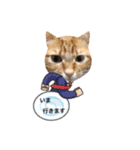 kurumoa（個別スタンプ：6）