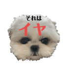 みんなのチャイ（個別スタンプ：2）