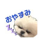 みんなのチャイ（個別スタンプ：16）