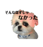 みんなのチャイ（個別スタンプ：40）