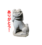 越前狛犬（個別スタンプ：6）