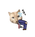 maromaro！（個別スタンプ：2）