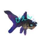 金魚の気持ち♡（個別スタンプ：3）