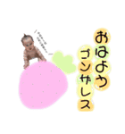 まいやん-1歳Ver.（個別スタンプ：16）