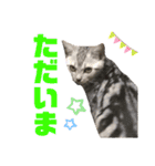 我が家のうしおくん（個別スタンプ：11）