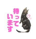 我が家のうしおくん（個別スタンプ：13）