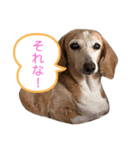 いつものまりんちゃん（個別スタンプ：2）