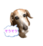 いつものまりんちゃん（個別スタンプ：3）