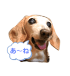 いつものまりんちゃん（個別スタンプ：4）